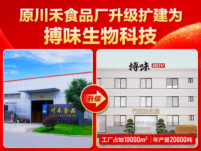 搏味食品廠：源頭實力煥新，領航火鍋底料產業新征程